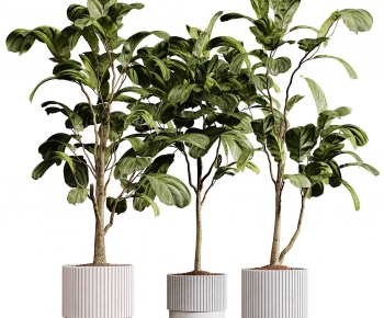 Modern Ground Green Plant Potted Plants-ID:910013919