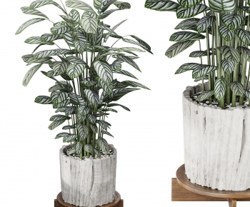 Simple European Style Flower Rack-ID:256925118