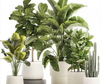 Modern Ground Green Plant Potted Plants-ID:284430032
