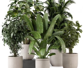 Modern Ground Green Plant Potted Plants-ID:269389219