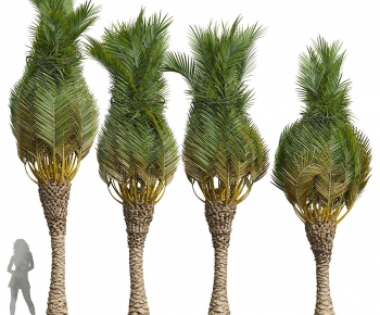 Modern Tree-ID:901749132