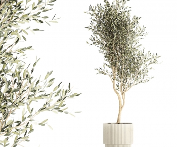 Modern Ground Green Plant Potted Plants-ID:672288895