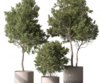 Modern Ground Green Plant Potted Plants-ID:779654036