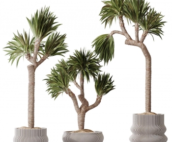 Modern Ground Green Plant Potted Plants-ID:973009113
