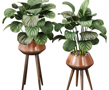 Modern Potted Green Plant-ID:325109008
