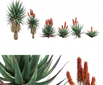 Modern Plant-ID:105149718