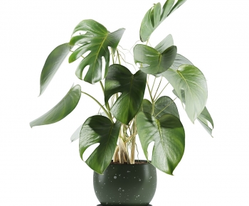Modern Potted Green Plant-ID:746146921