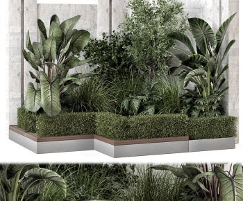 Modern Plant Pile-ID:437239894