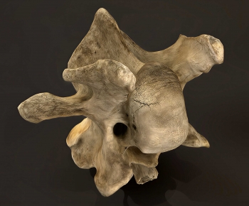 Modern Sculpture-ID:363765008