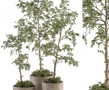 Modern Ground Green Plant Potted Plants-ID:795283084