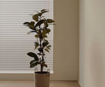 Modern Ground Green Plant Potted Plants-ID:545923955