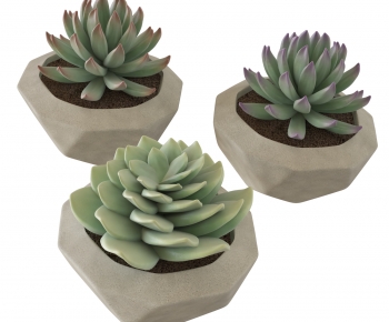 Modern Potted Green Plant-ID:552380085