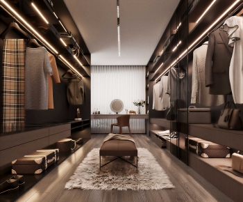 Modern Clothes Storage Area-ID:165704975