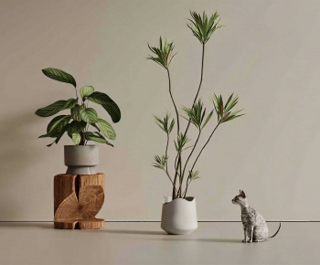 Modern Ground Green Plant Potted Plants-ID:873476985