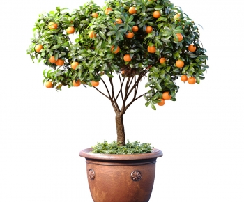 Modern Ground Green Plant Potted Plants-ID:769949915