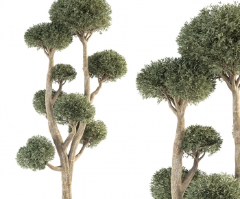 Modern Tree-ID:378878124