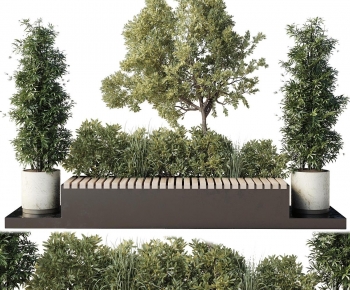 Modern Flower Bed, Flower Bowl, Flower Box-ID:354449719