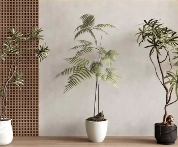 Modern Ground Green Plant Potted Plants-ID:660918959