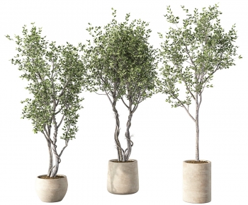 Modern Ground Green Plant Potted Plants-ID:889252903