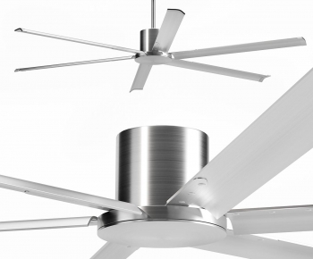 Modern Fan-ID:513294942