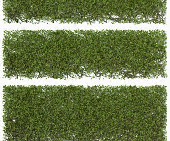 Modern Shrubbery-ID:989160064