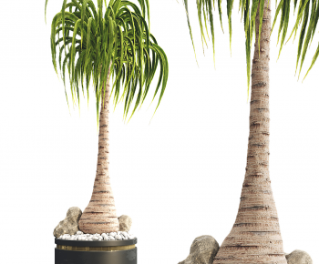 Modern Ground Green Plant Potted Plants-ID:956136948