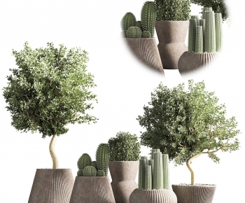 Modern Ground Green Plant Potted Plants-ID:491839895