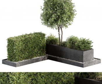 Modern Flower Bed, Flower Bowl, Flower Box-ID:349692115