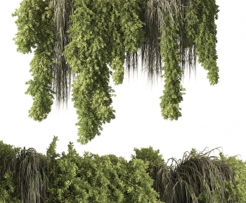 Modern Vine-ID:140209914