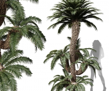 Modern Tree-ID:707586053