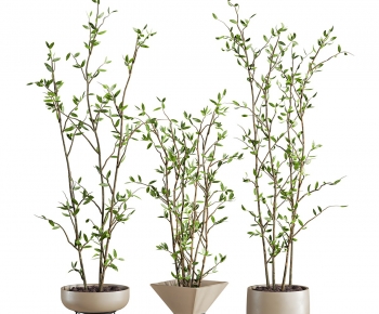 Modern Ground Green Plant Potted Plants-ID:793277986