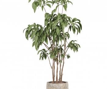 Modern Ground Green Plant Potted Plants-ID:577837946
