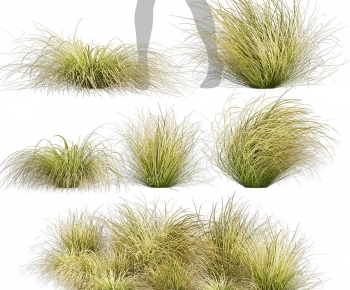 Modern The Grass-ID:262693886