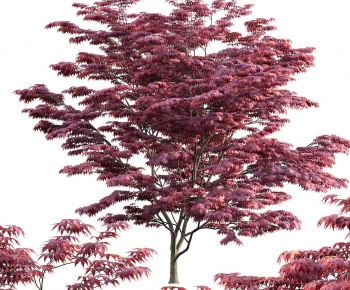 Modern Tree-ID:622510915