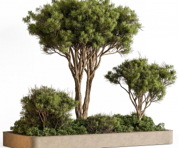 Modern Flower Bed, Flower Bowl, Flower Box-ID:991605043