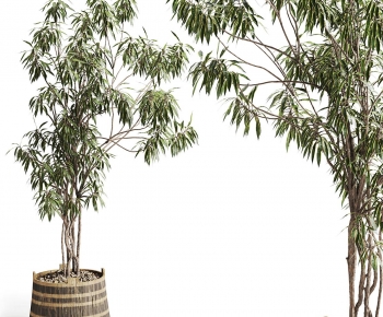 Modern Ground Green Plant Potted Plants-ID:386065967