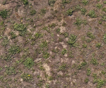 Modern The Grass-ID:179198986