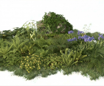 Modern Plant Landscaping-ID:673410973