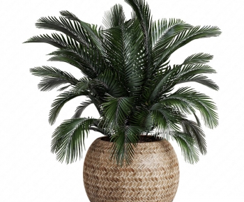 Modern Potted Green Plant-ID:519618999