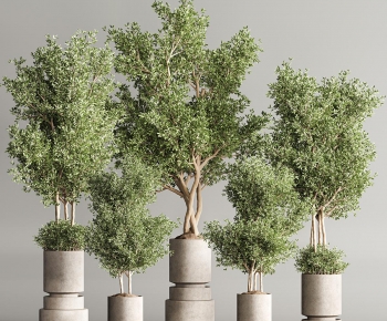 Modern Ground Green Plant Potted Plants-ID:485773099