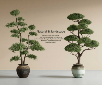 Modern Ground Green Plant Potted Plants-ID:444409825