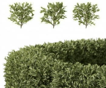 Modern Shrubbery-ID:298475038