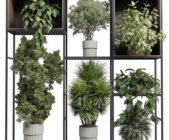 Modern Ground Green Plant Potted Plants-ID:374460268