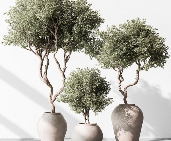 Modern Ground Green Plant Potted Plants-ID:147022966