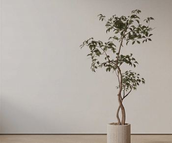 Modern Ground Green Plant Potted Plants-ID:797420982