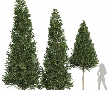 Modern Tree-ID:737576017