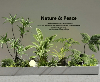 Modern Plant Landscaping-ID:570343022