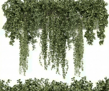 Modern Vine-ID:195060973