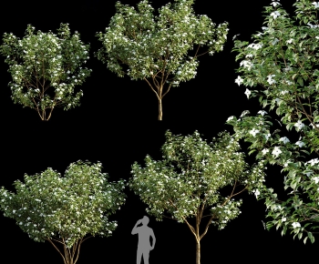 Modern Tree-ID:132122991