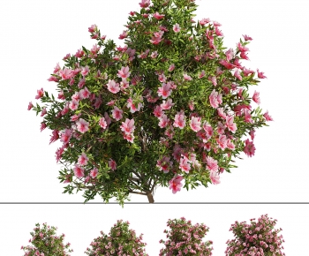 Modern Tree-ID:666270973